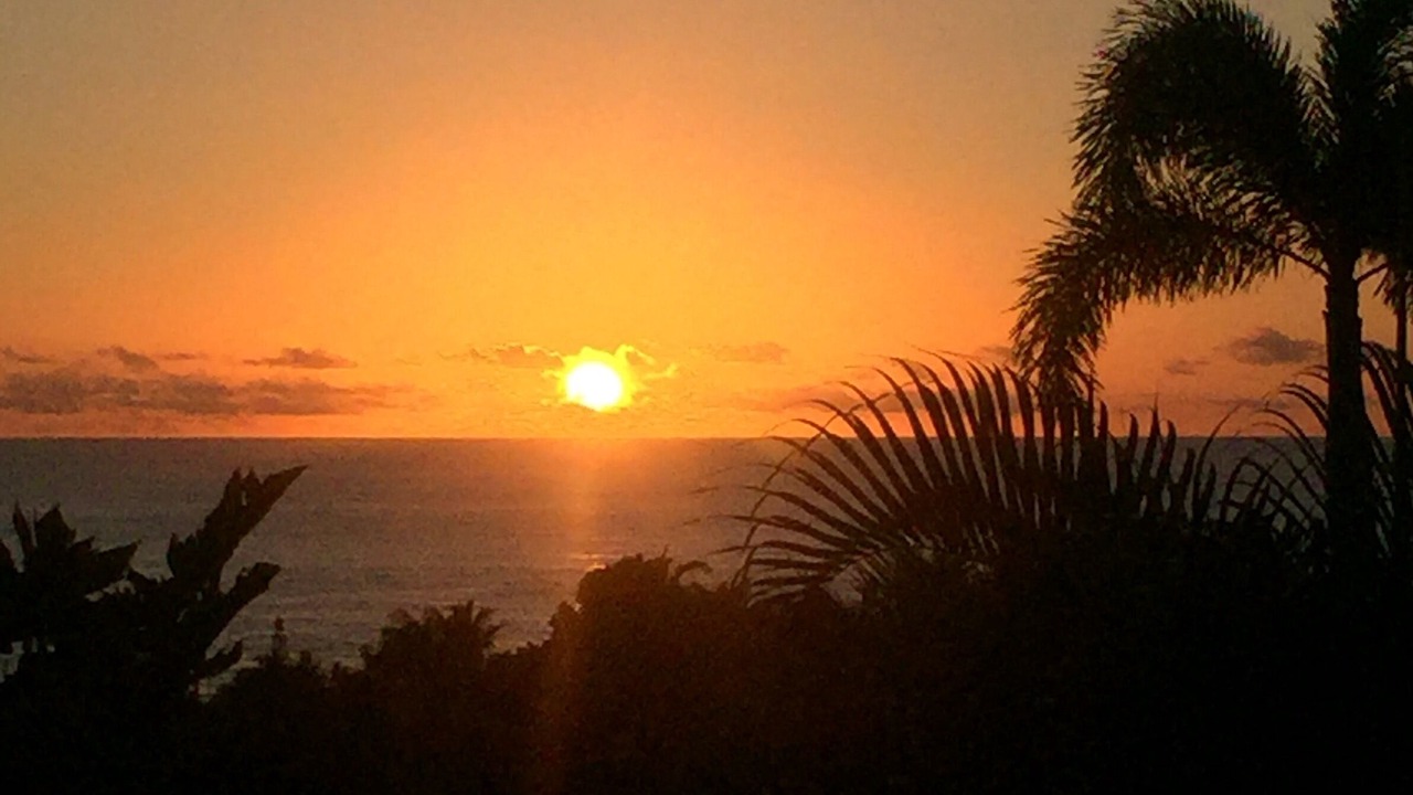 Photo of Others in Alii Heights Mauka