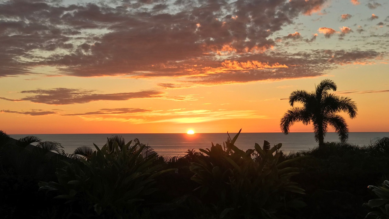 Photo of Others in Alii Heights Mauka