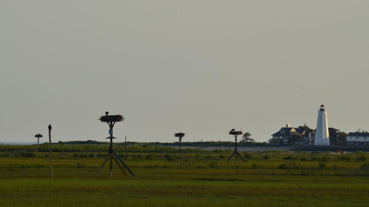 Photo of Others in Old Saybrook Center