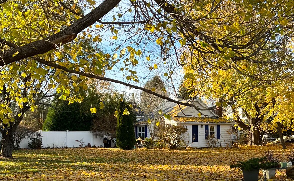 Photo of Outdoor in Old Saybrook Center