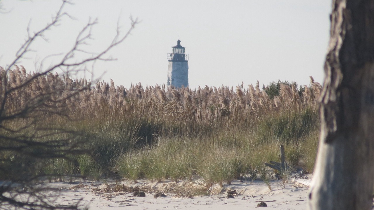 Photo of Others in New Point