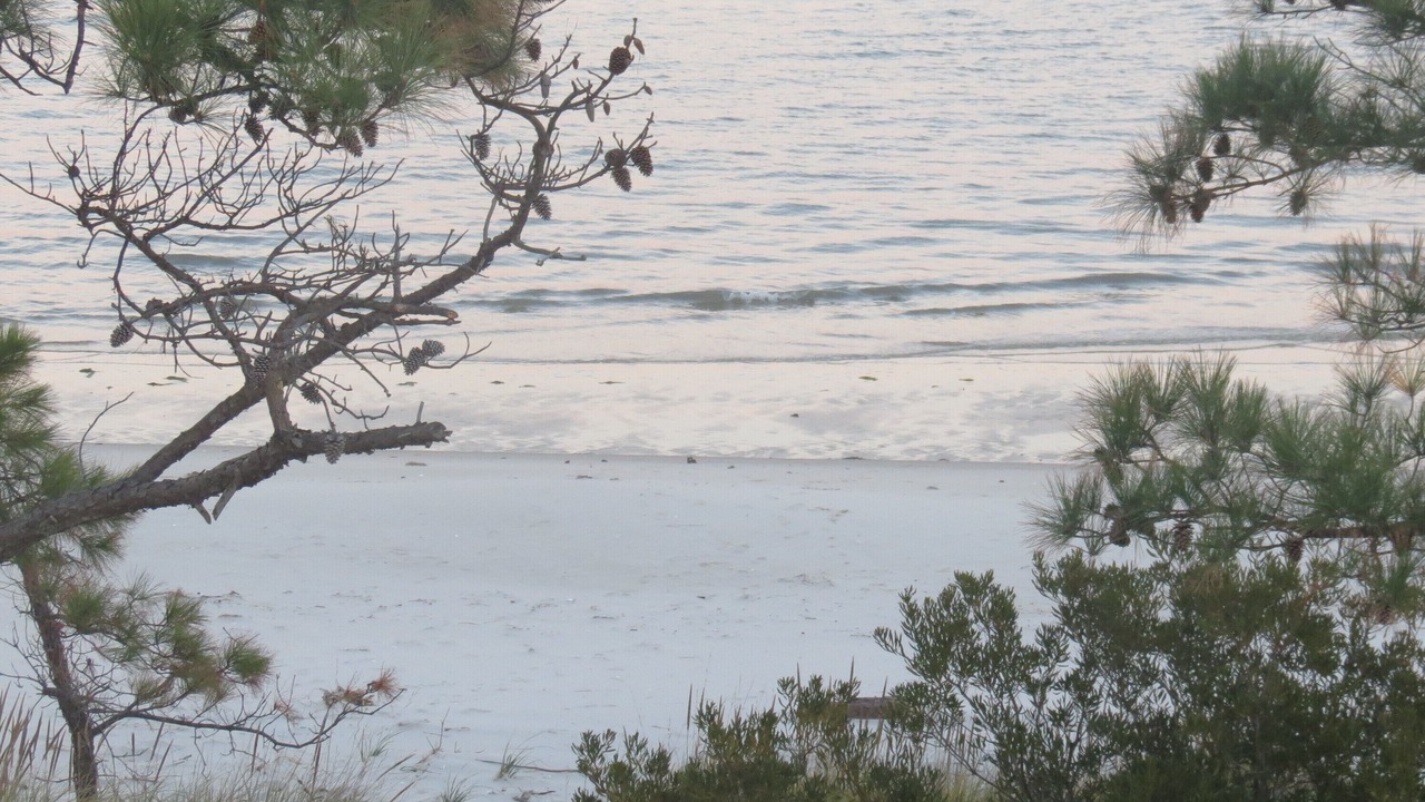 Photo of Others in New Point