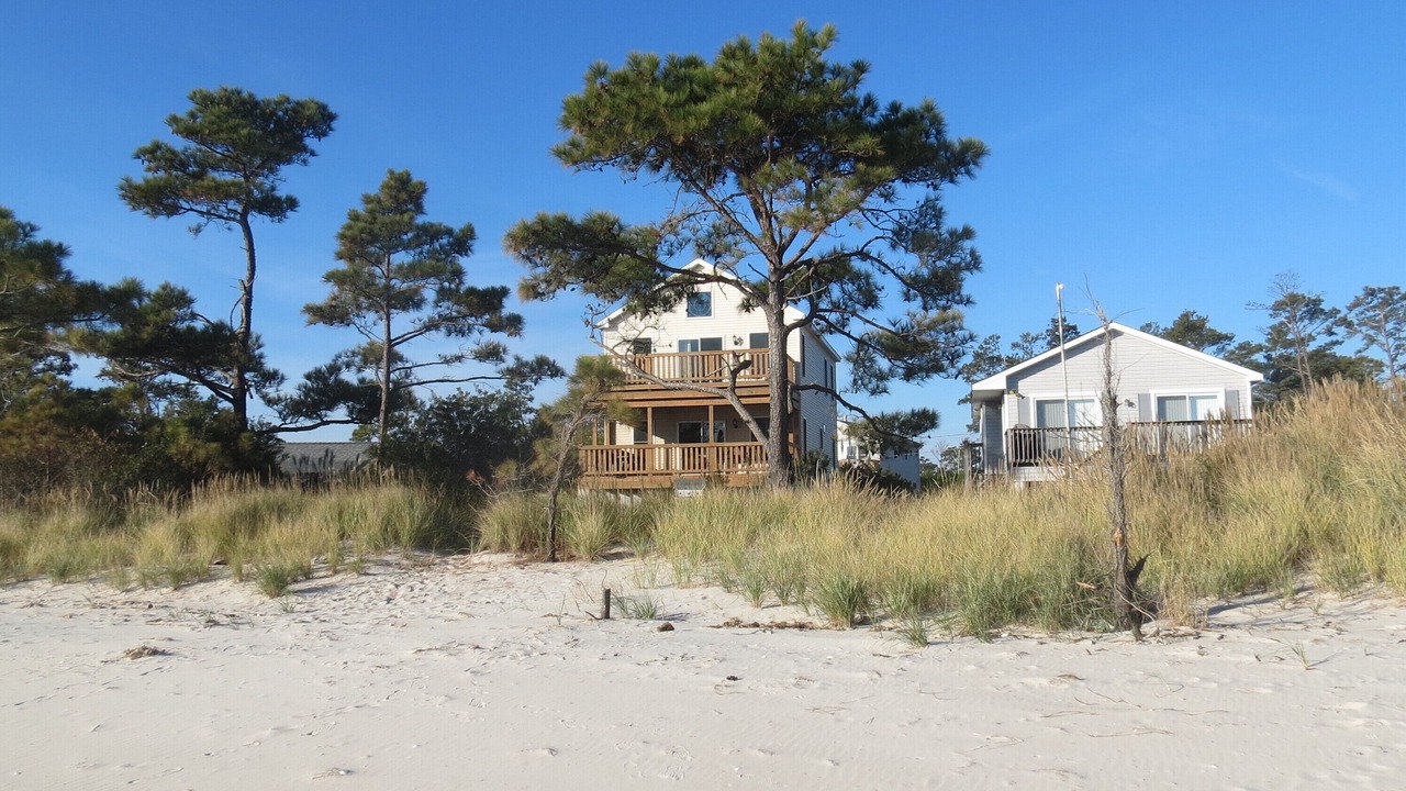 Photo of Others in New Point