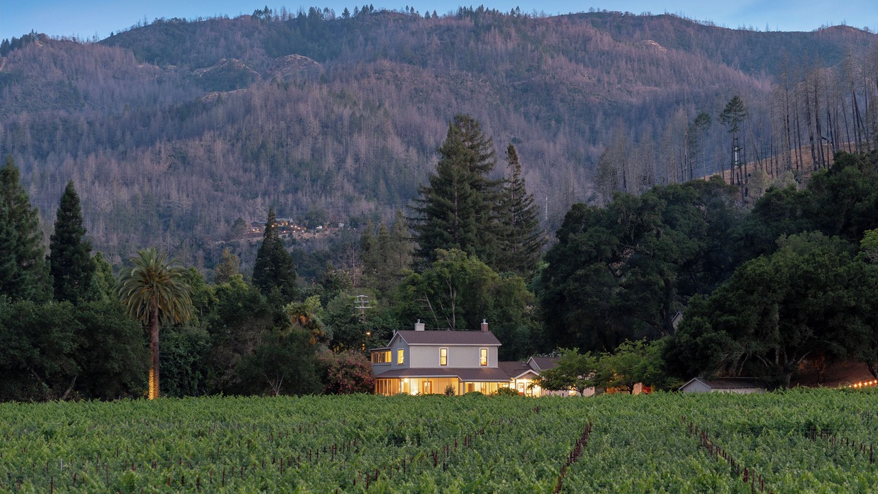 Photo of Others in St. Helena