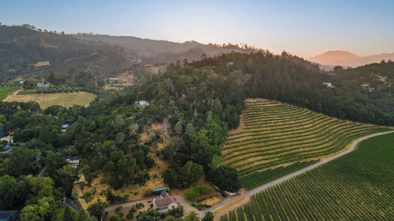 Photo of Others in St. Helena