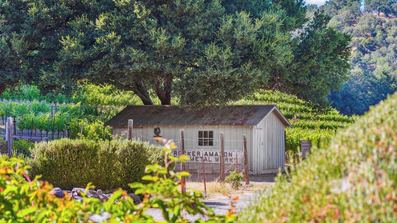 Photo of Others in St. Helena