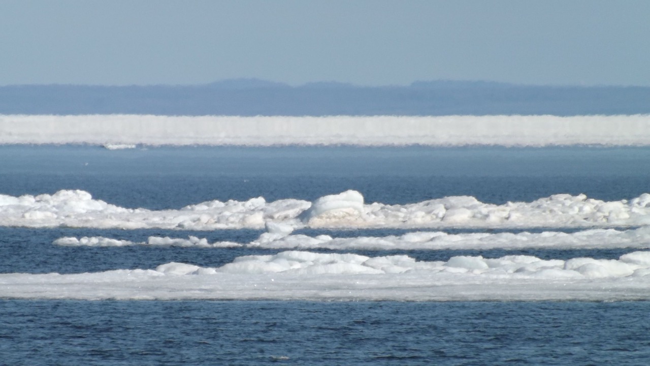 Photo of Others in La Pointe