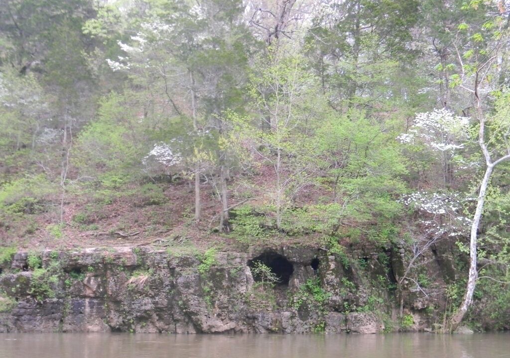 Photo of Outdoor in Steelville
