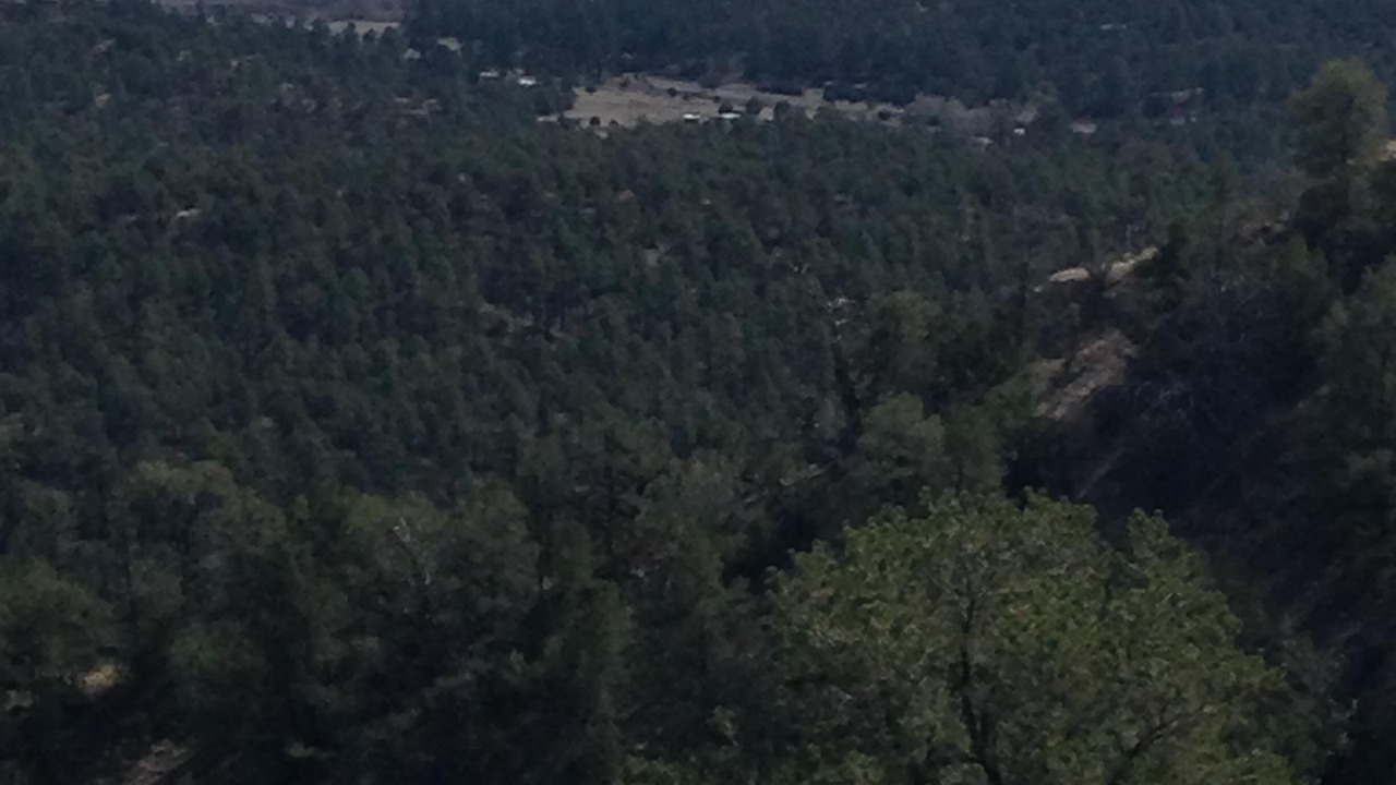 Photo of Others in Mimbres