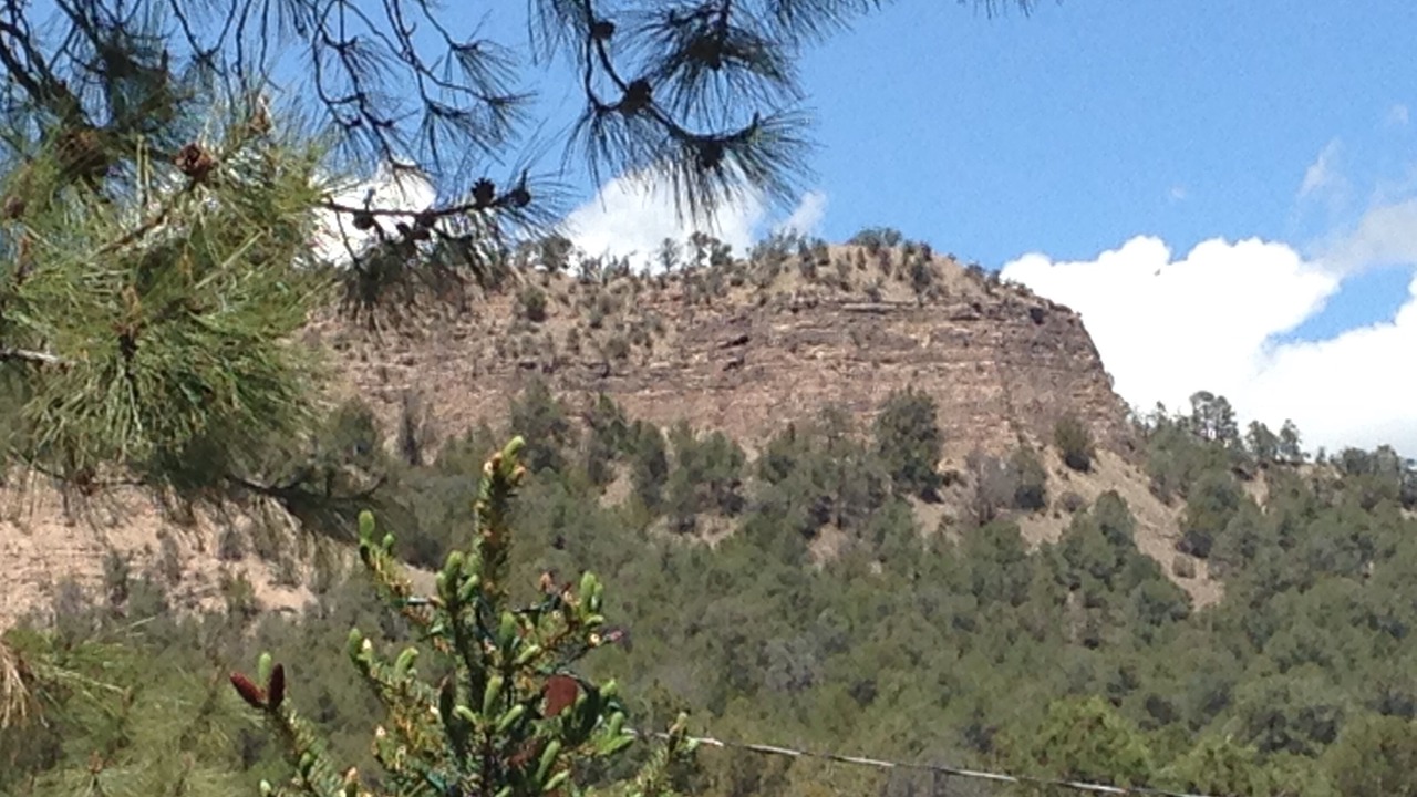 Photo of Outdoor in Mimbres