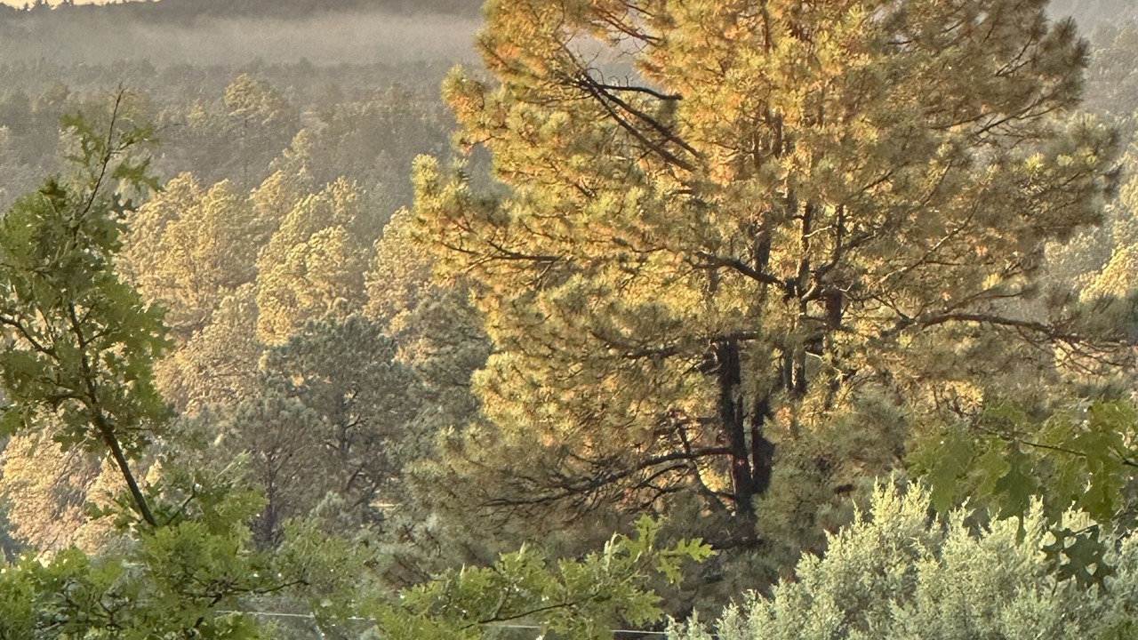 Photo of Outdoor in Mimbres