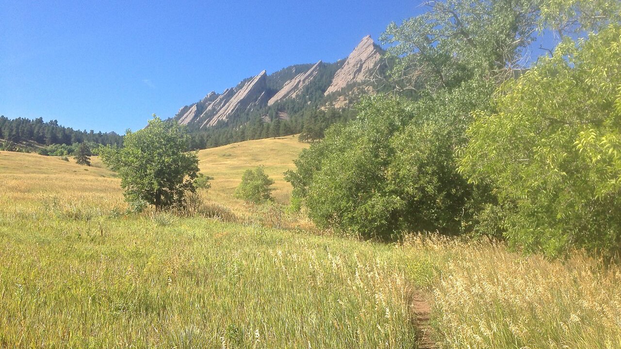 Photo of Others in Central Boulder