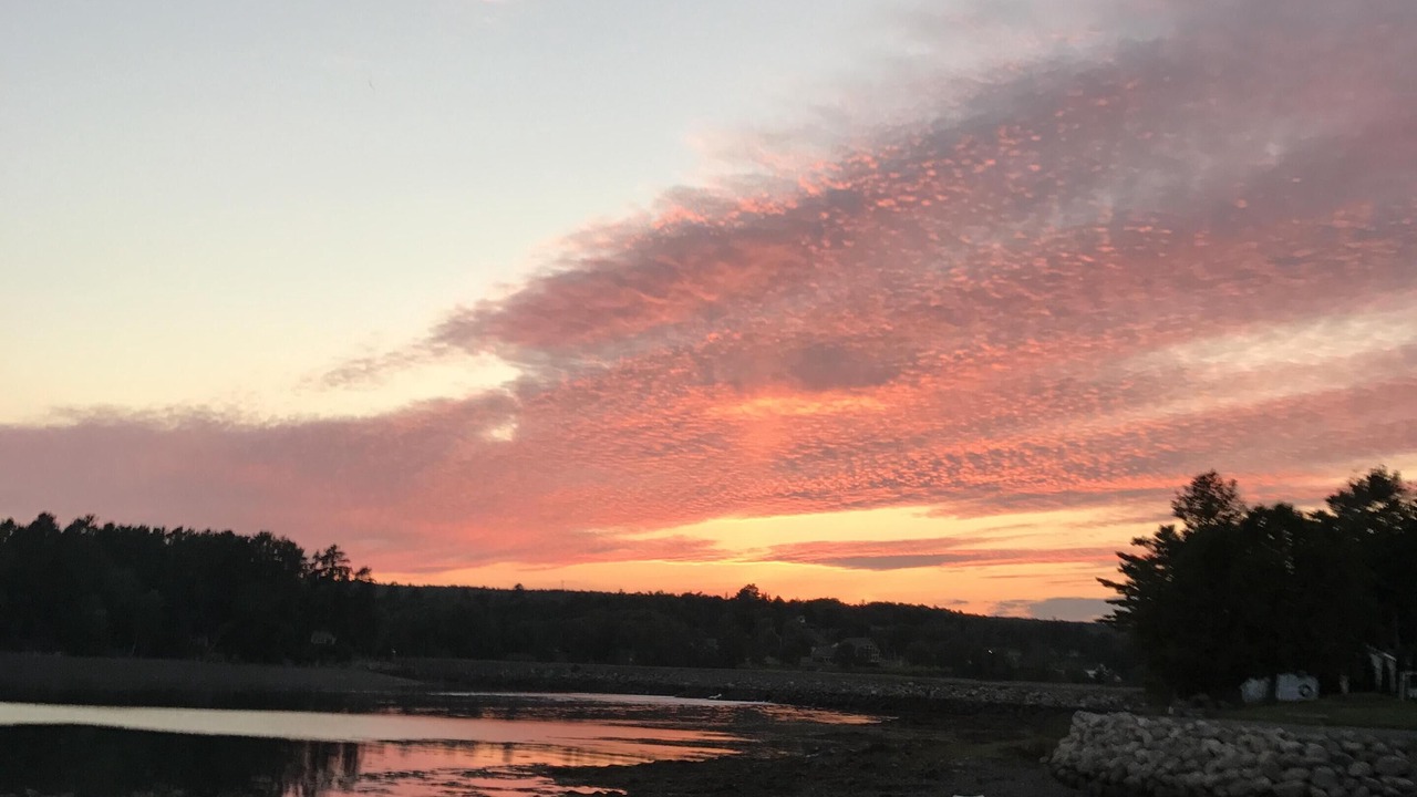 Photo of Outdoor in Saint David