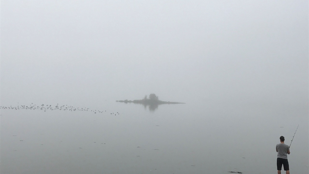 Photo of Others in Saint David