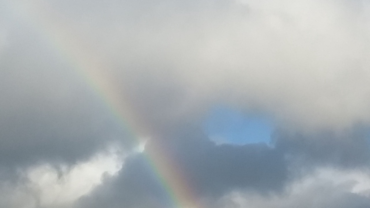 Photo of Others in Waianae