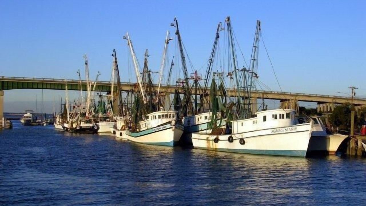 Photo of Others in Tybee Island