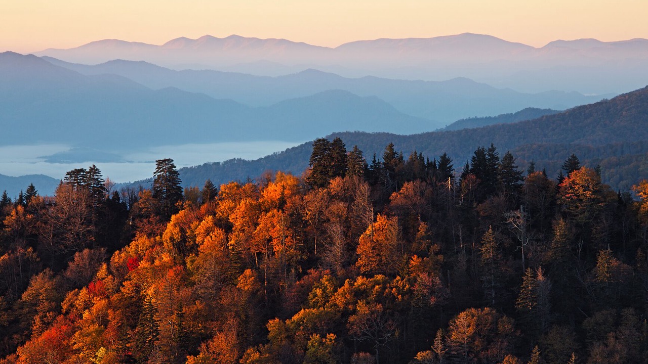 Photo of Others in Pigeon Forge