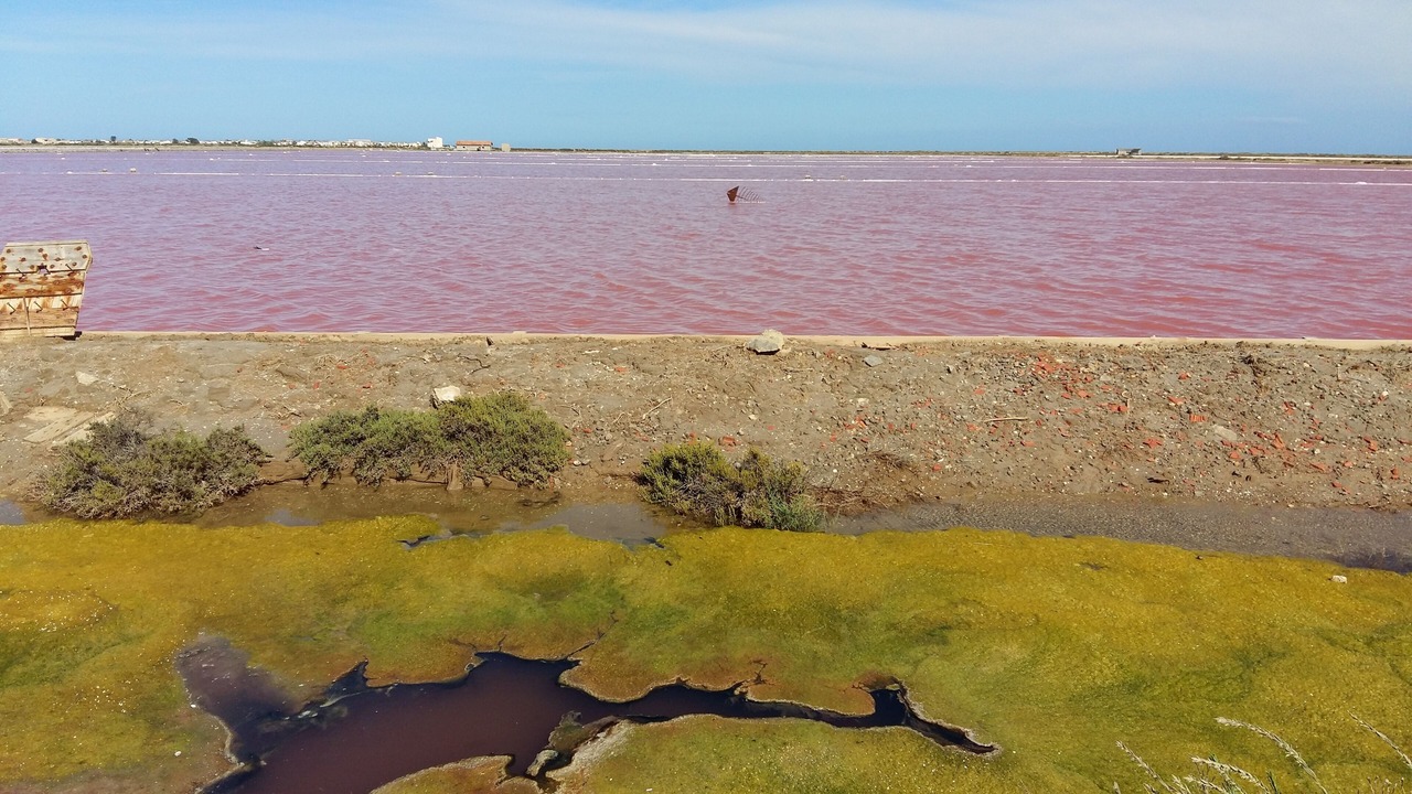 Photo of Others in Narbonne-Plage