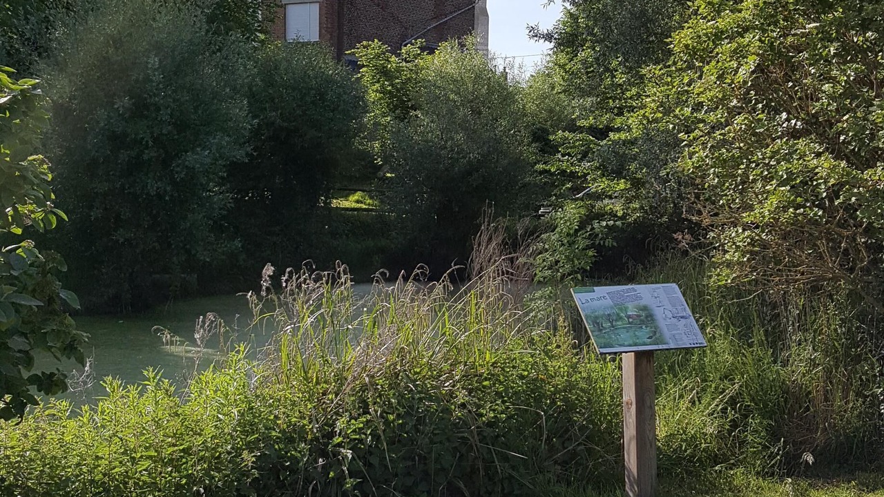 Photo of Outdoor in Buysscheure