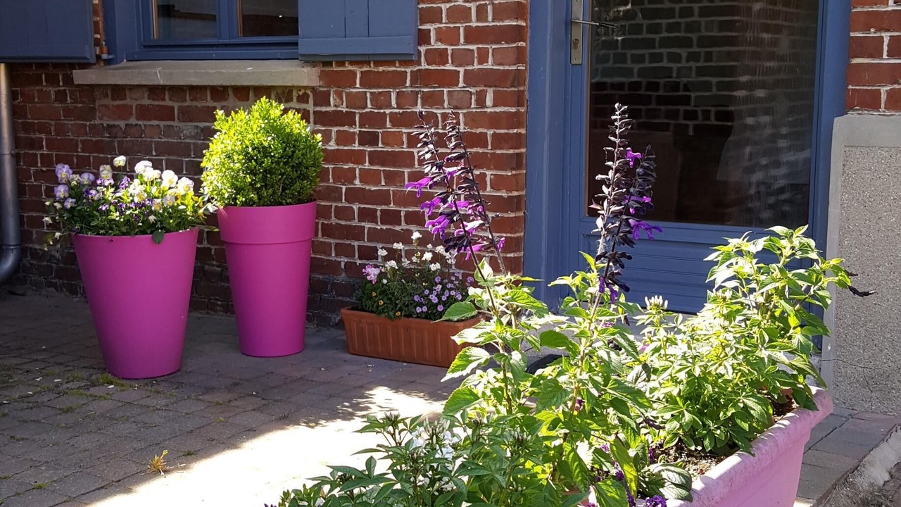 Photo of Outdoor in Buysscheure