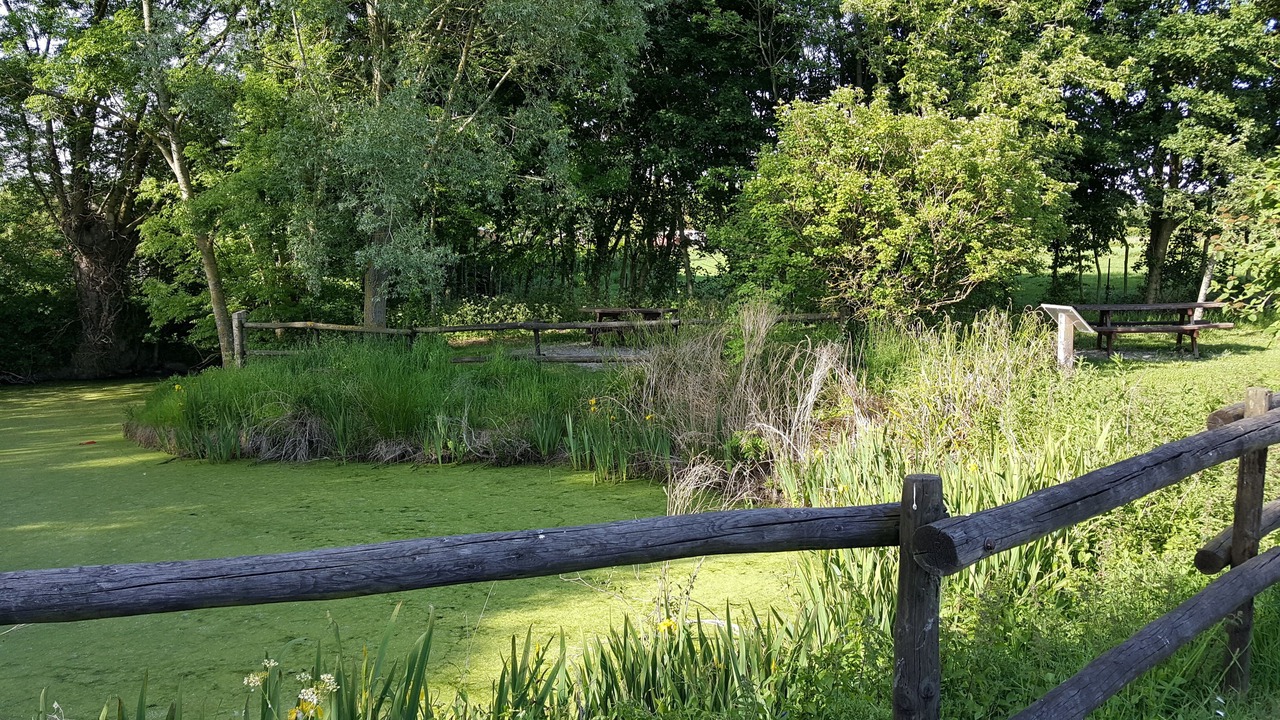 Photo of Outdoor in Buysscheure