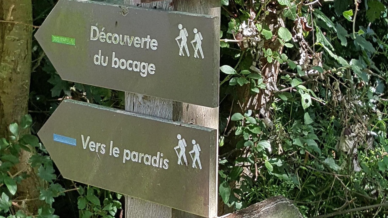 Photo of Outdoor in Buysscheure