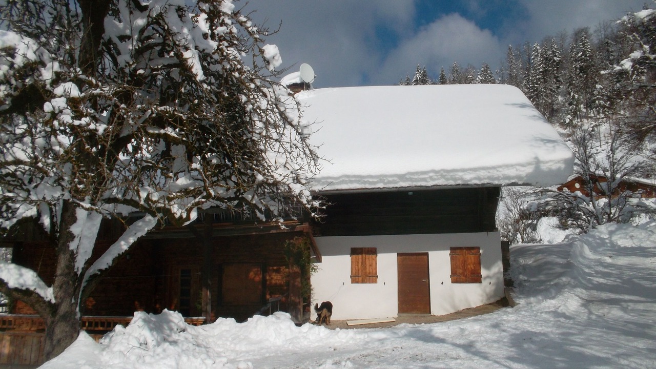 Photo of Outdoor in Thones