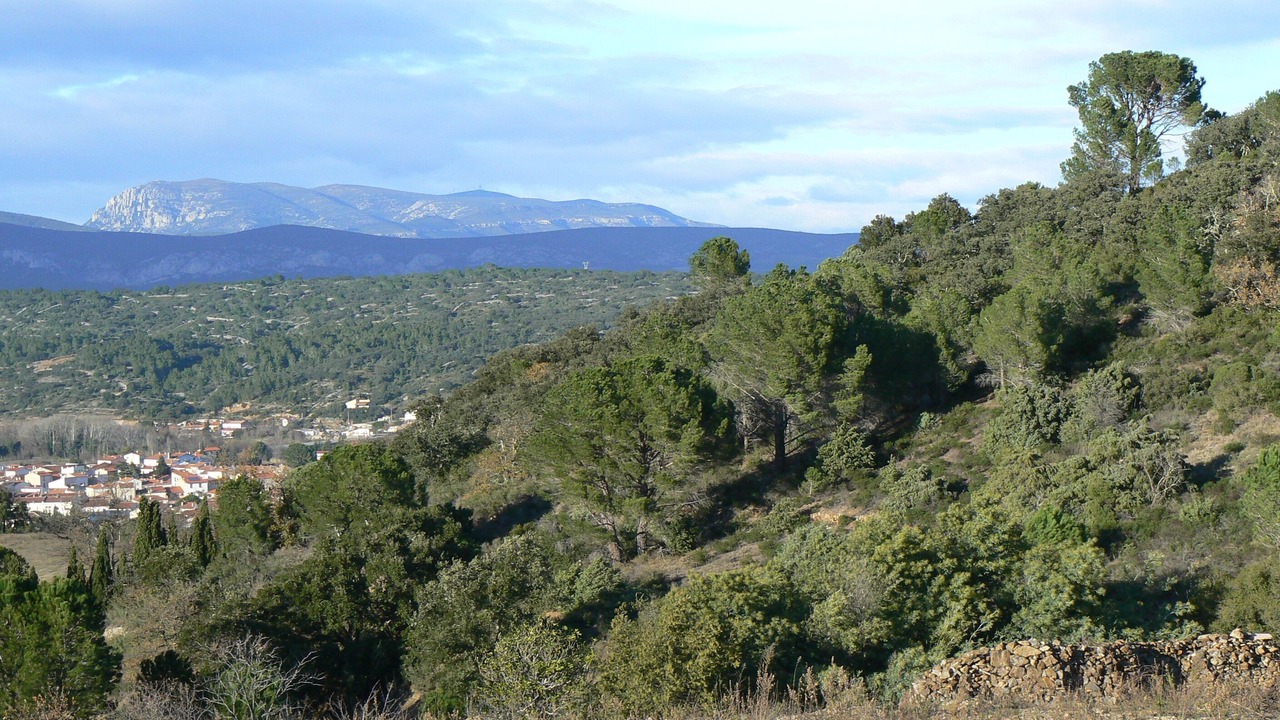 Photo of Outdoor in Estagel