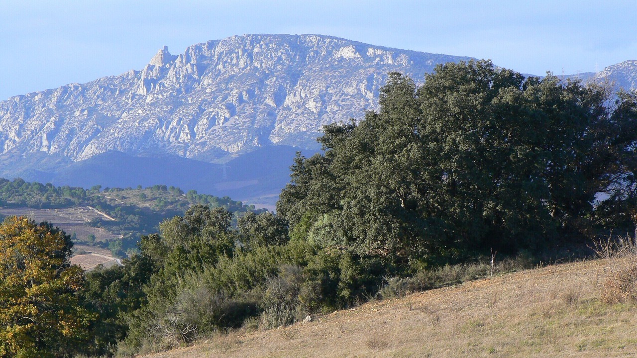 Photo of Outdoor in Estagel