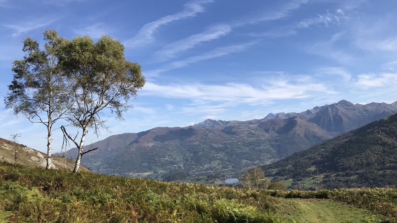 Photo of Others in Arcizans-Dessus