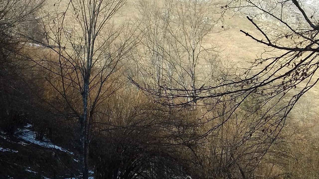 Photo of Outdoor in Arcizans-Dessus