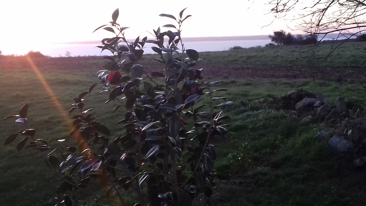 Photo of Outdoor in Crozon