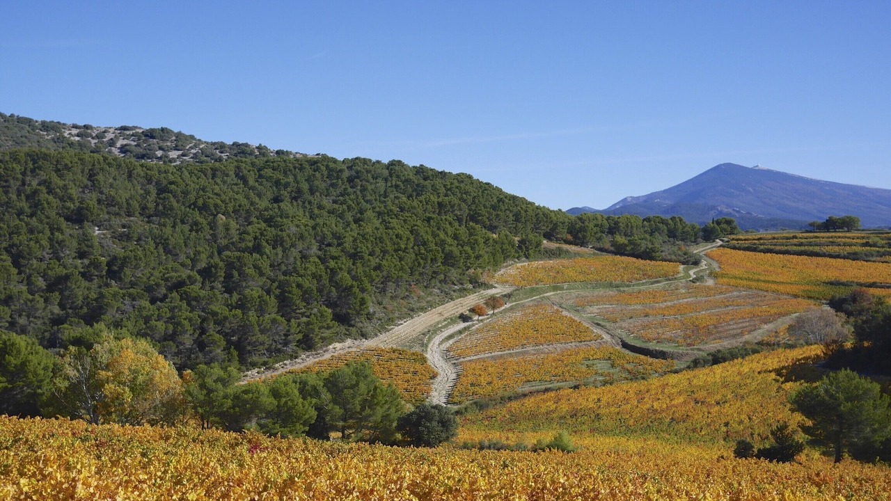 Photo of Outdoor in La Roque-Alric