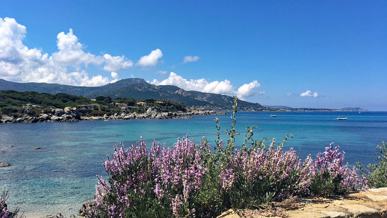 Photo of Others in Marine de Davia