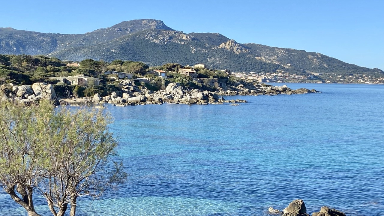 Photo of Others in Marine de Davia