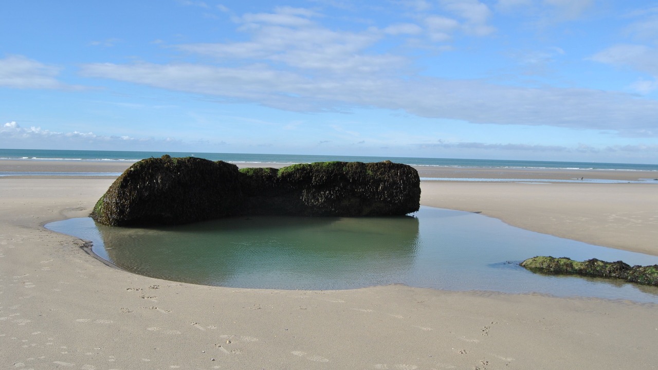 Photo of Others in Wimereux