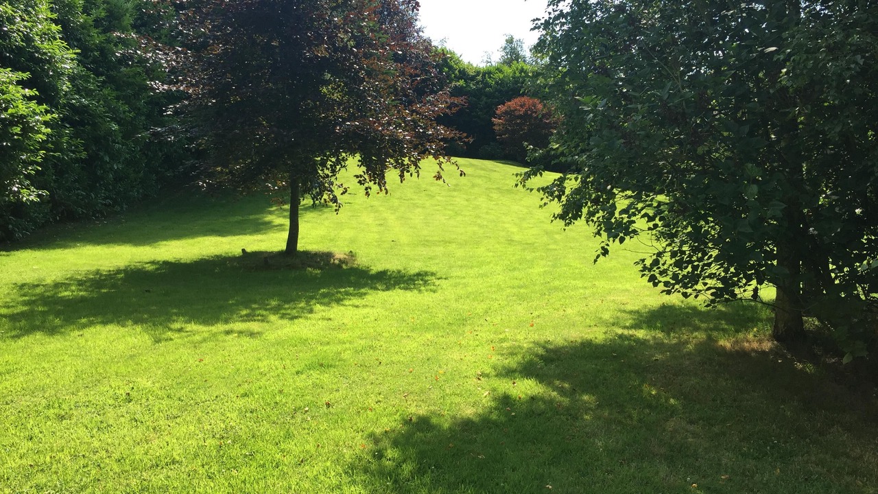 Photo of Outdoor in Blangy-le-Chateau