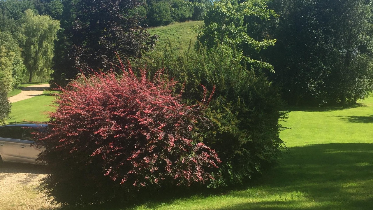Photo of Outdoor in Blangy-le-Chateau