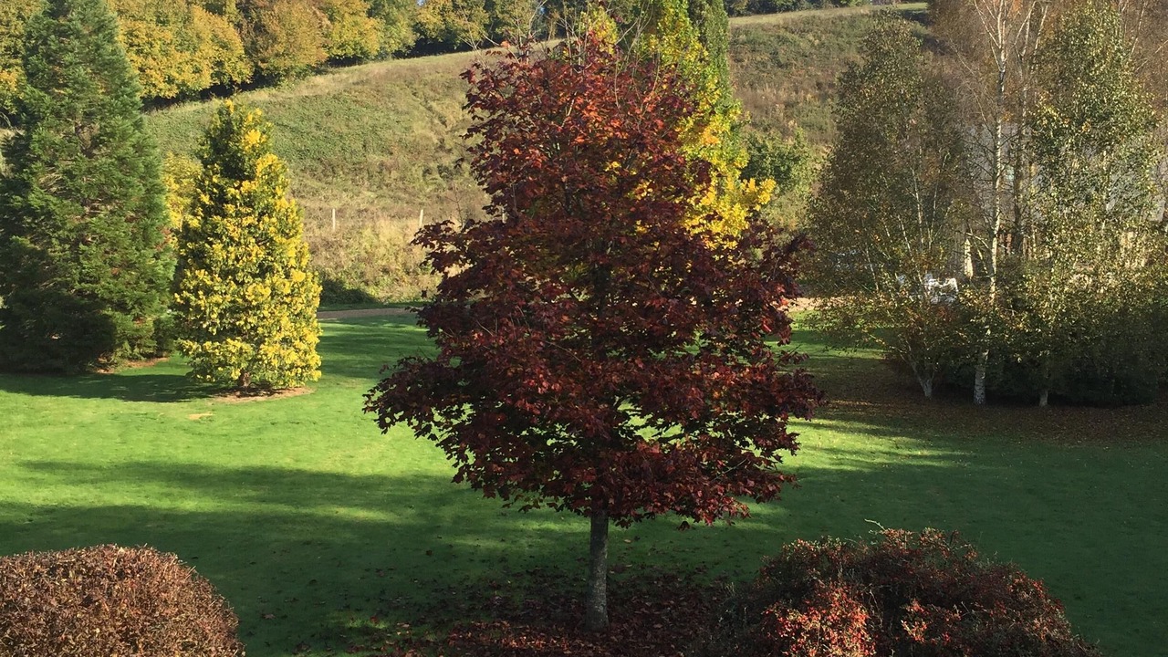 Photo of Outdoor in Blangy-le-Chateau