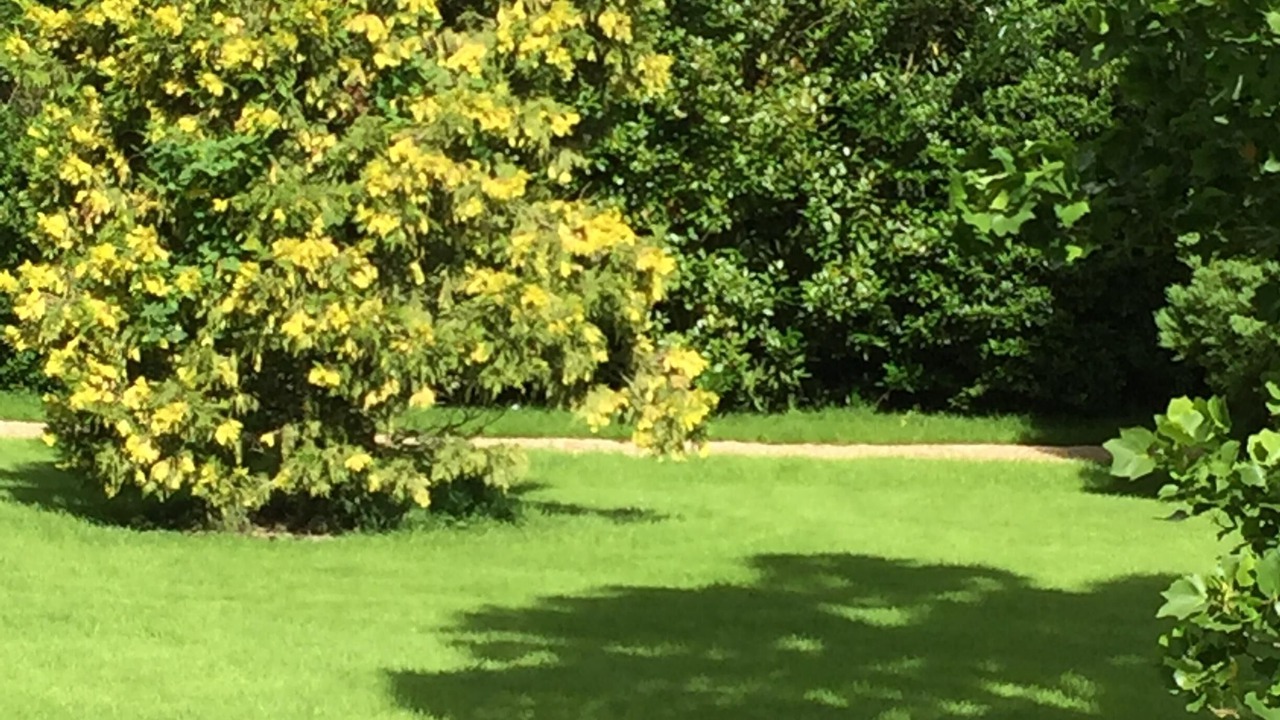 Photo of Outdoor in Blangy-le-Chateau