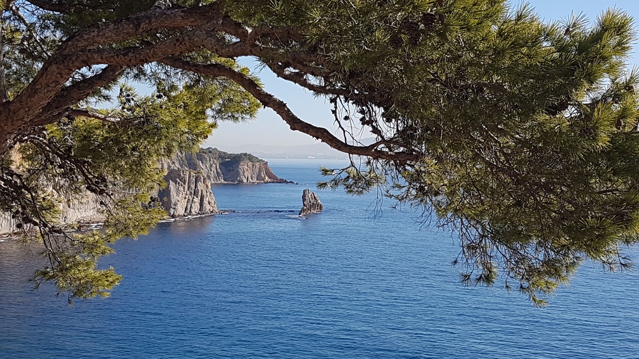 Photo of Others in Sausset-les-Pins