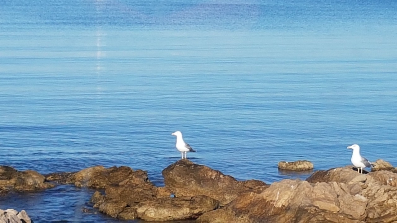 Photo of Others in Sausset-les-Pins
