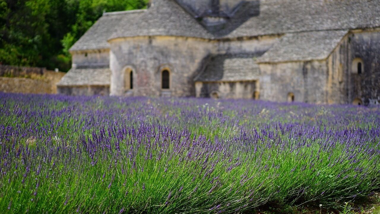 Photo of Outdoor in Labastide-de-Virac