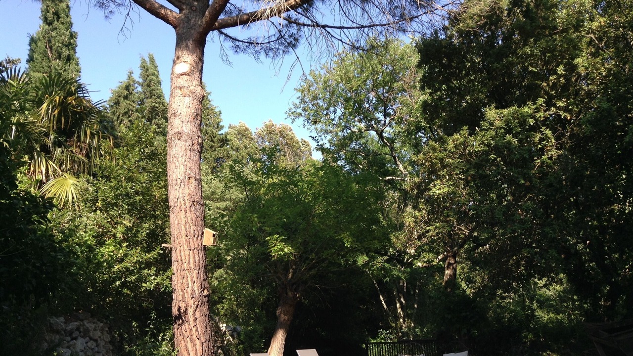 Photo of Outdoor in Labastide-de-Virac