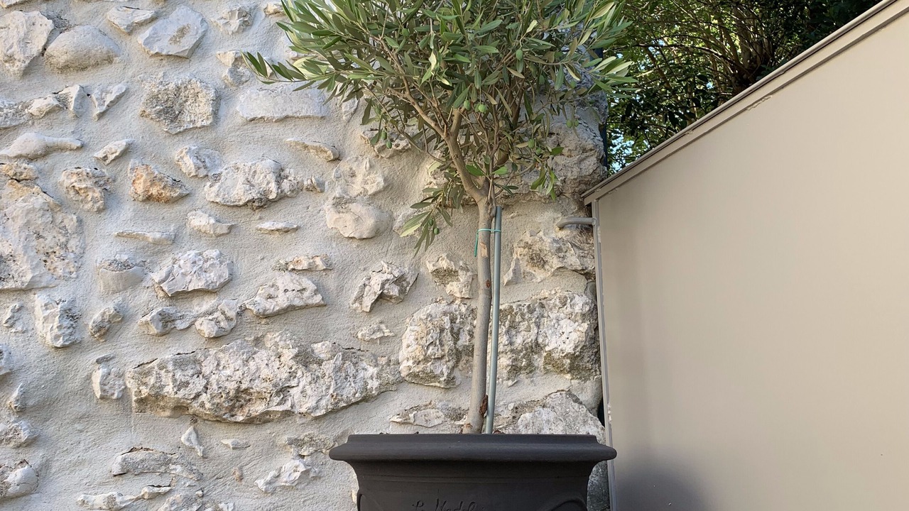 Photo of Outdoor in Labastide-de-Virac