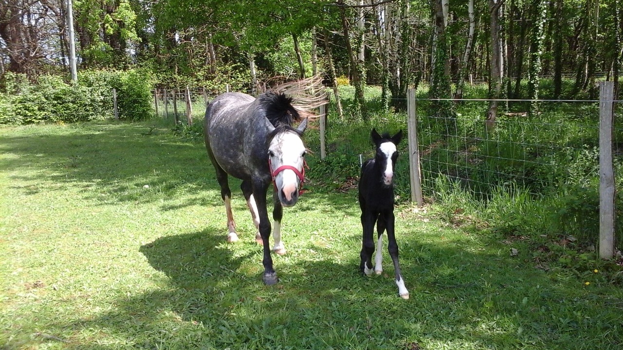 Photo of Outdoor in Continvoir