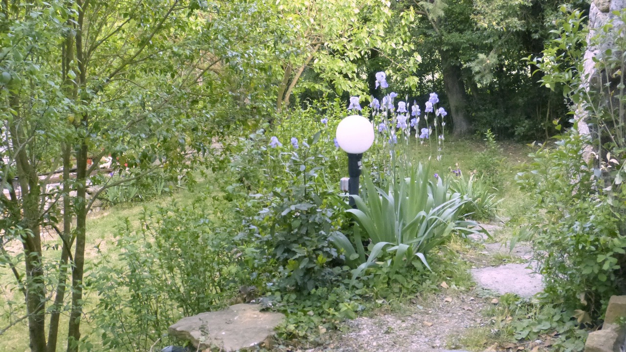 Photo of Outdoor in Thoiras