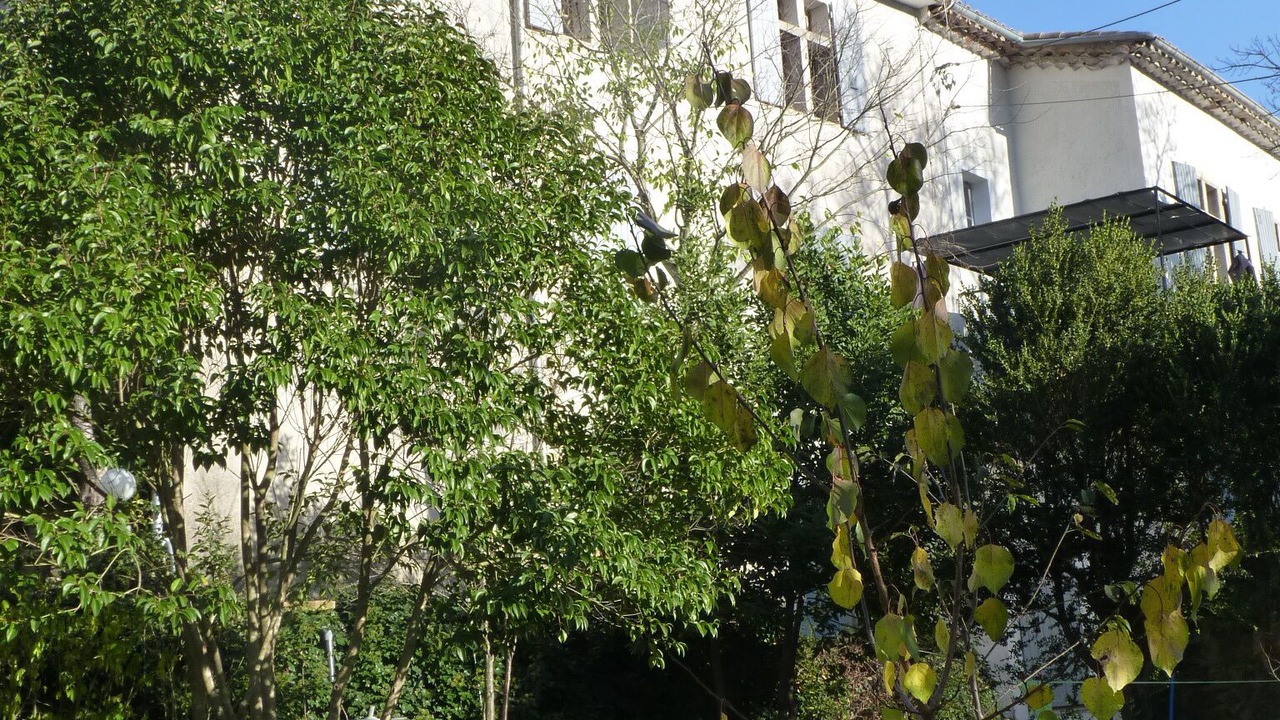 Photo of Outdoor in Thoiras