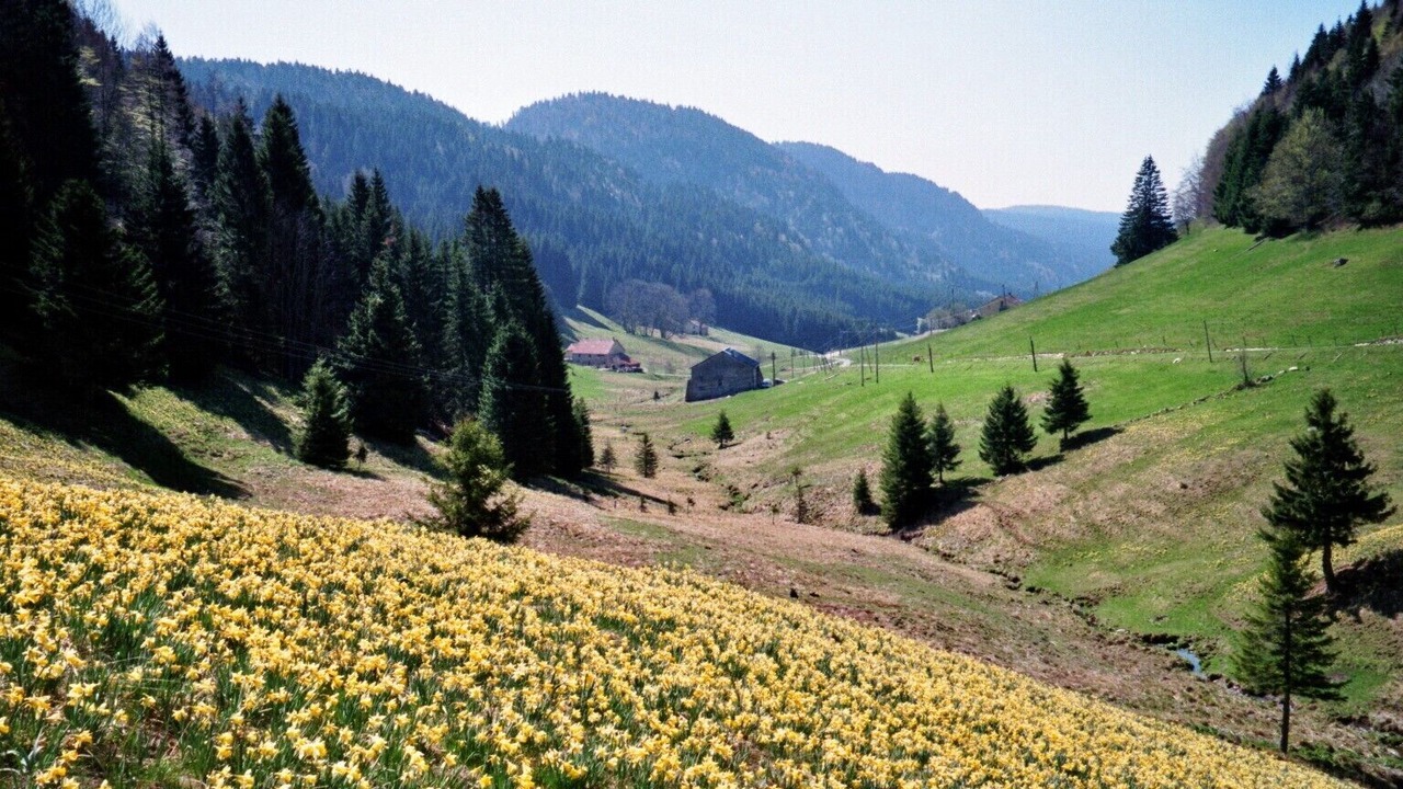 Photo of Outdoor in La Pesse