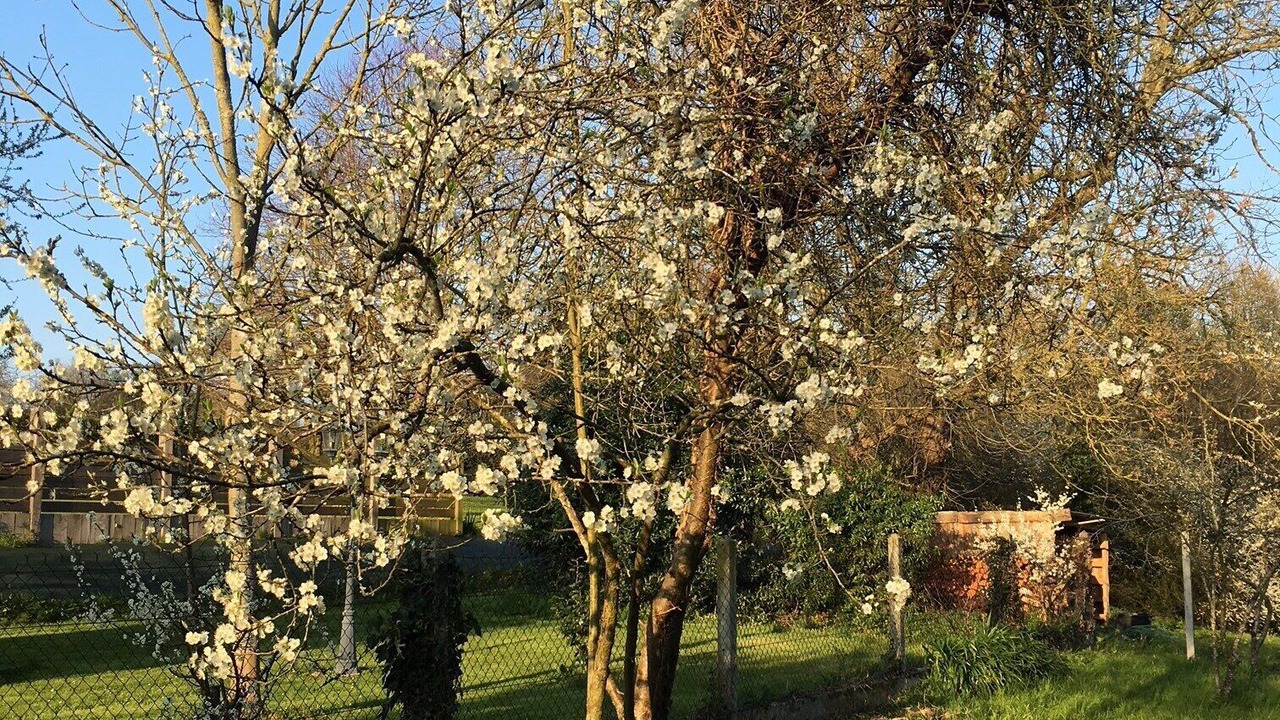 Photo of Outdoor in Binic